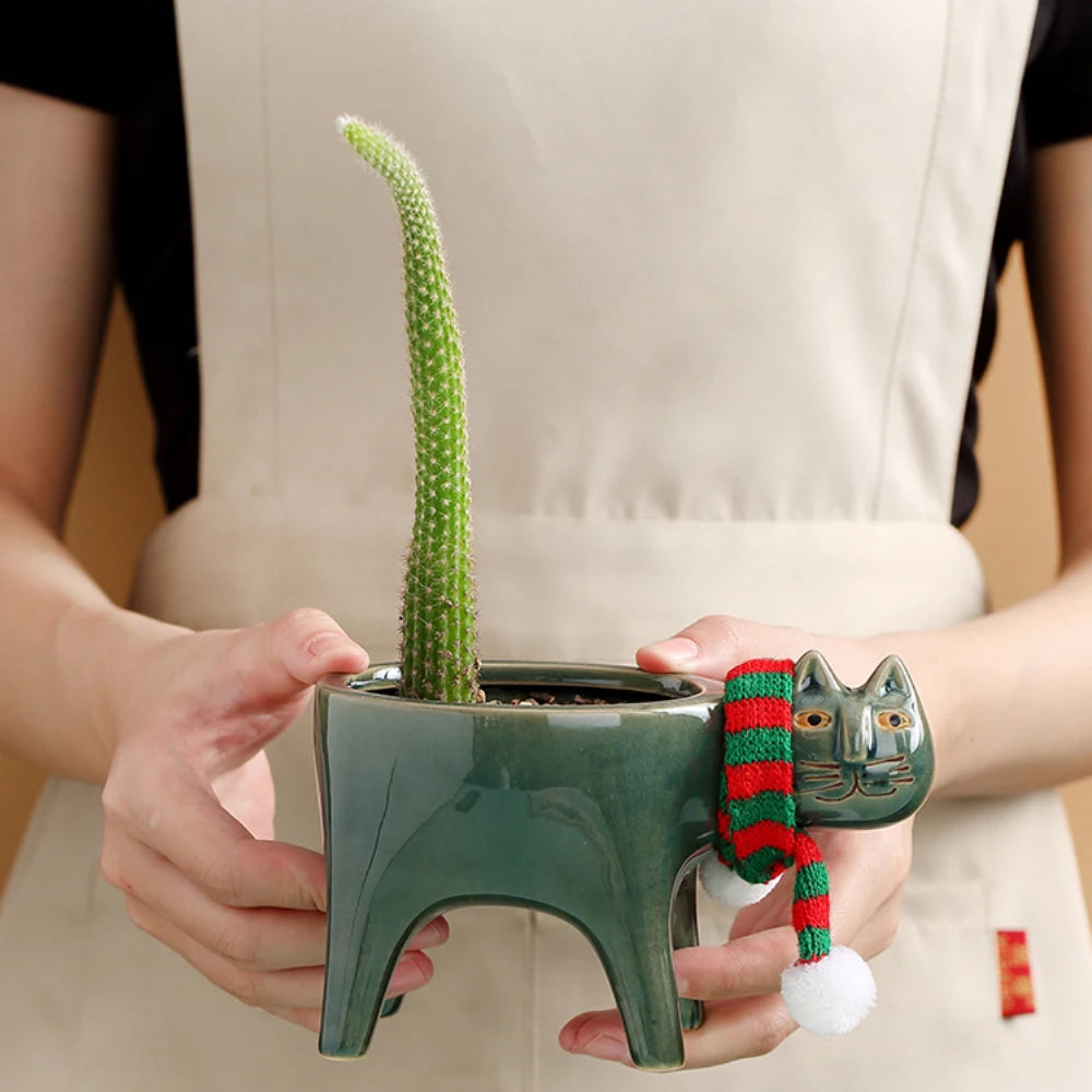 ๐น"Witty Kitty" - Hilarious flower pot!๐ต๐ต
