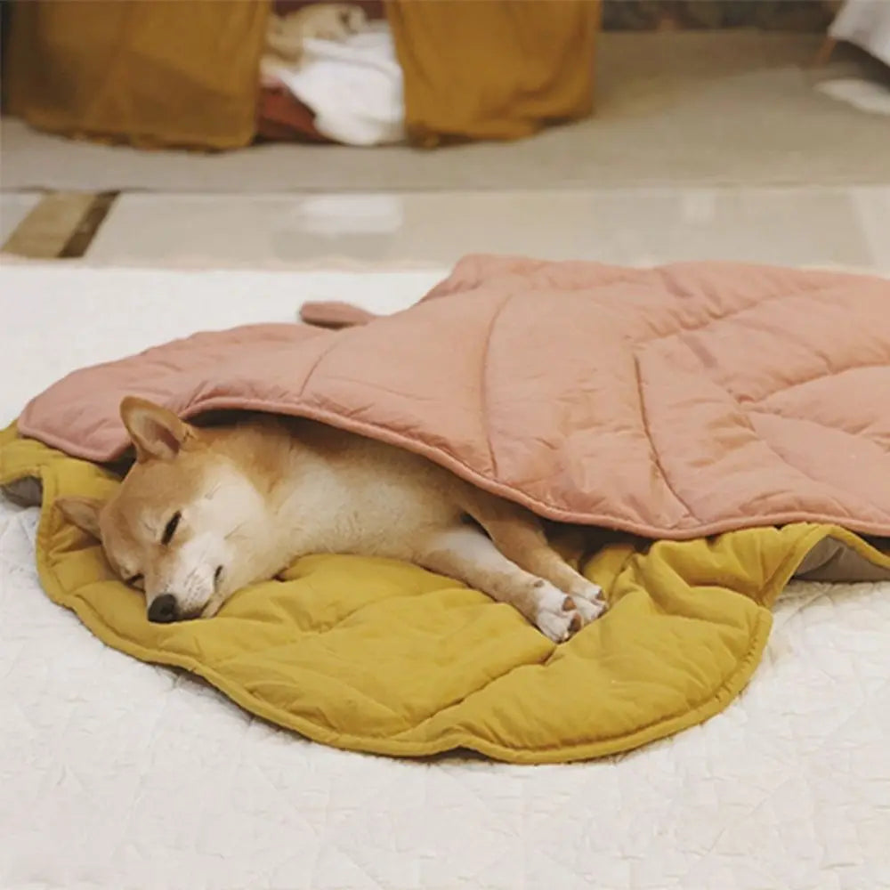 🍃🍁Unbelievably beautiful! - Lovely leaf-shaped mats for your furry friends🍂🌿
