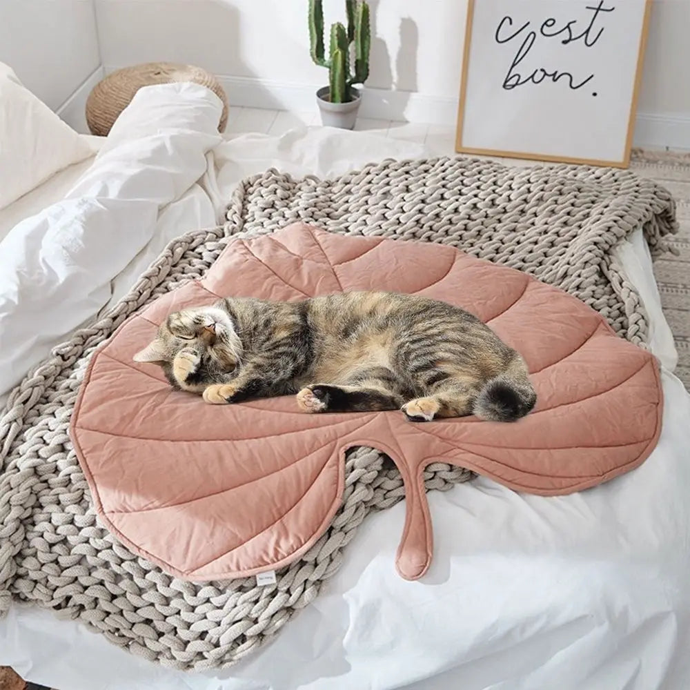 🍃🍁Unbelievably beautiful! - Lovely leaf-shaped mats for your furry friends🍂🌿