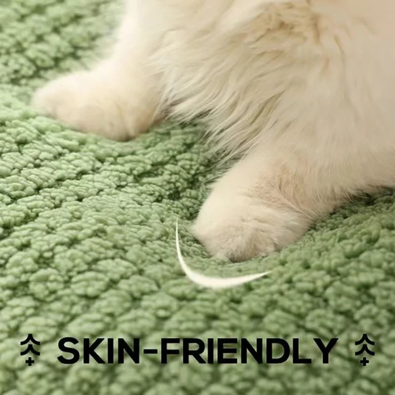 "Mr. Froggy" comfy green pet bed - Ribbit-ribbit! 🐸