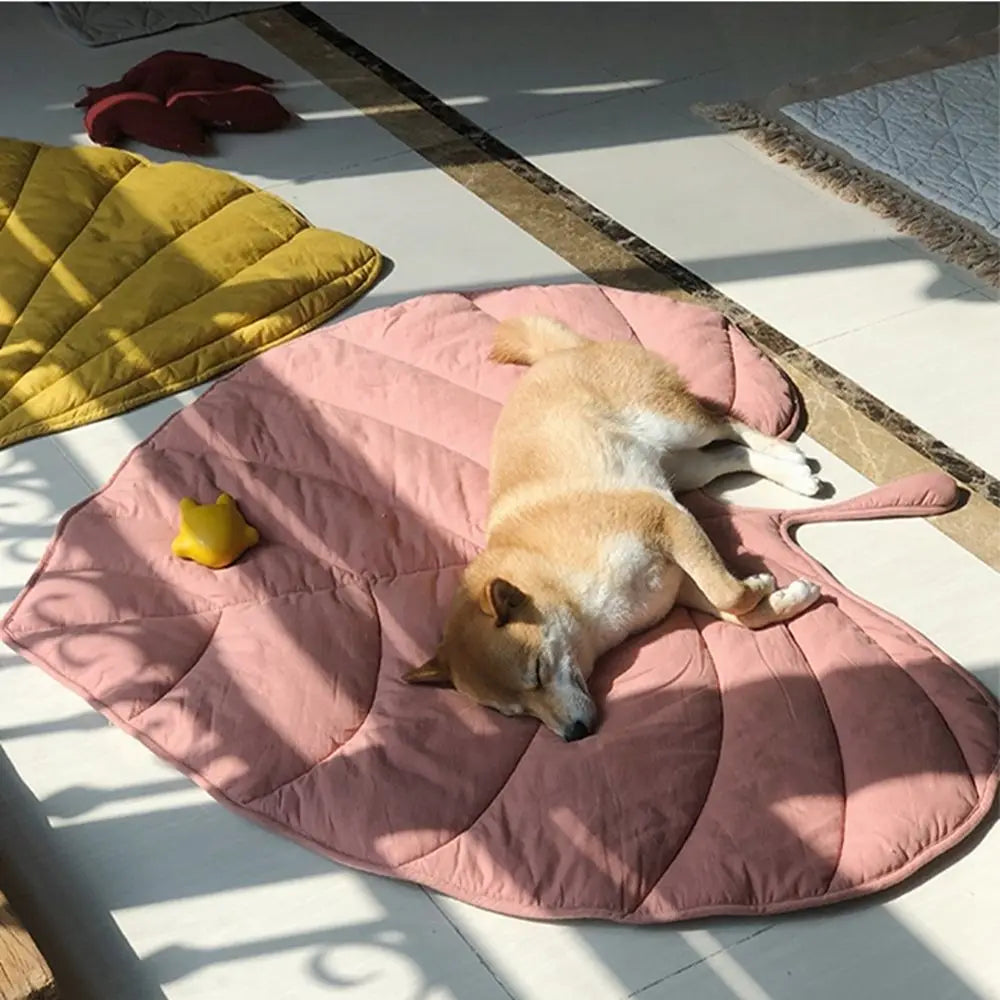 🍃🍁Unbelievably beautiful! - Lovely leaf-shaped mats for your furry friends🍂🌿