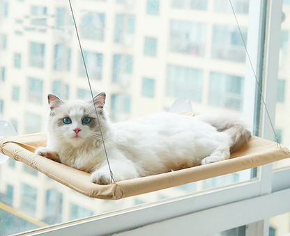 ☁️"Belle Vue" -  Kitty's window hammock🌞