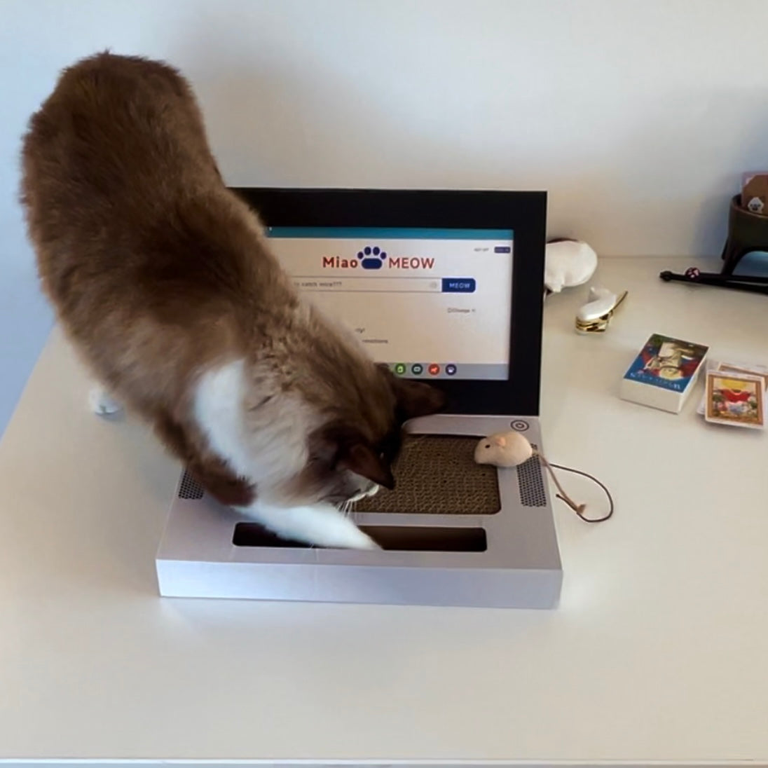 😺Introducing: The Hilarious "Scratch- and Naptop"😹💻