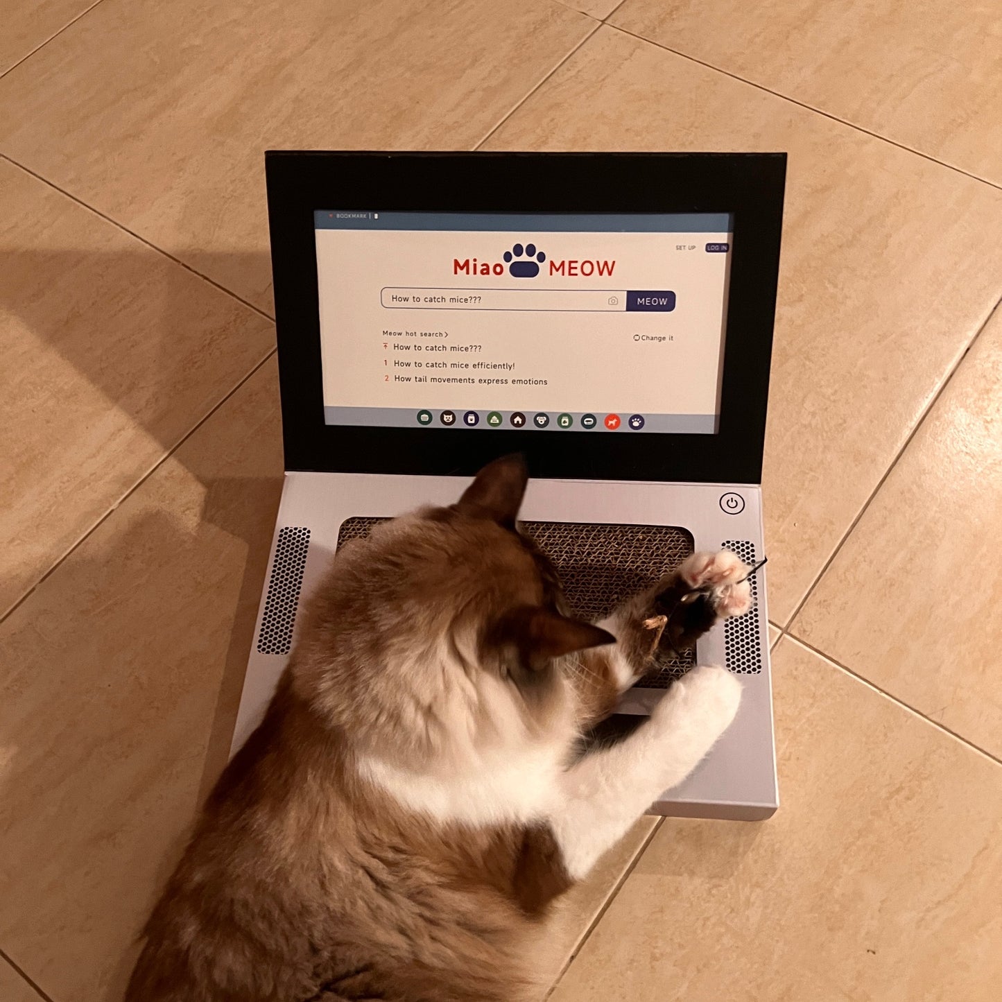😺Introducing: The Hilarious "Scratch- and Naptop"😹💻