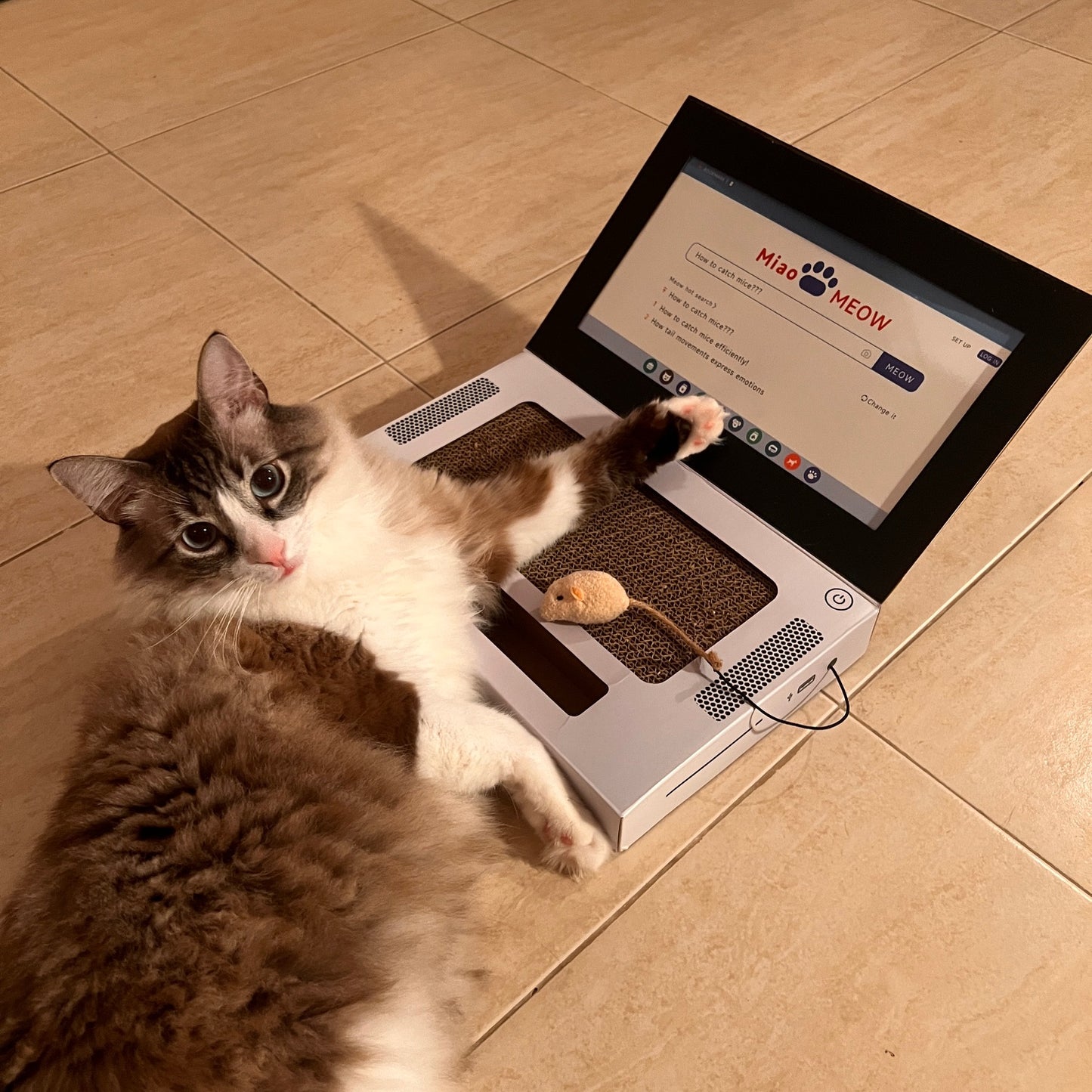 😺Introducing: The Hilarious "Scratch- and Naptop"😹💻