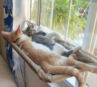 ☁️"Belle Vue" -  Kitty's window hammock🌞