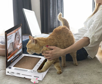 😺Introducing: The Hilarious "Scratch- and Naptop"😹💻