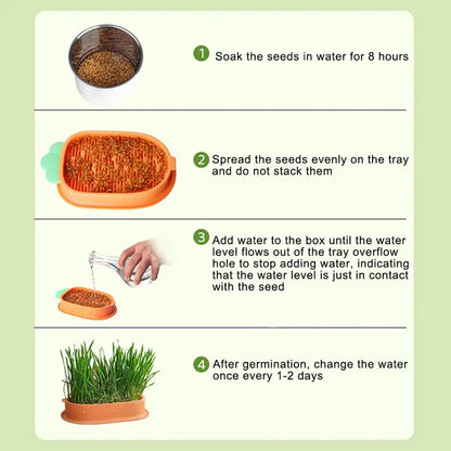 🥕🥕🥕"Happy Carrot" - Kitty's funny yummy grass tray🌱