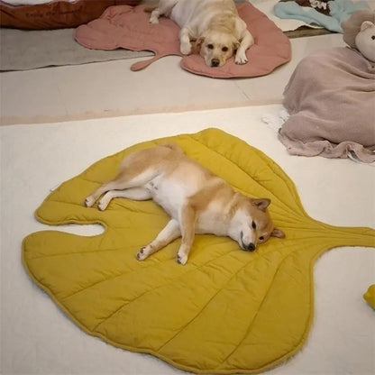 🍃🍁¡Increíblemente hermoso! - Preciosas alfombrillas con forma de hoja para tus amigos peludos🍂🌿