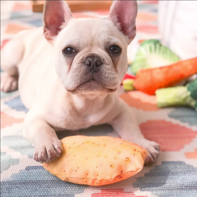 🍖🥦Get ready to laugh your tail off! - Absolutely comical doggy and kitty toys🍤🥬
