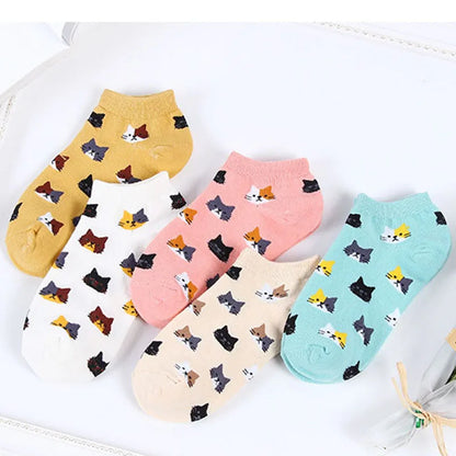 😊"Pretty Kitty" - 5 funny pairs of Japanese style sneaker socks for every taste🧦