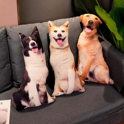 🦴🐩¡Cojines divertidos y felices!🐕🦴