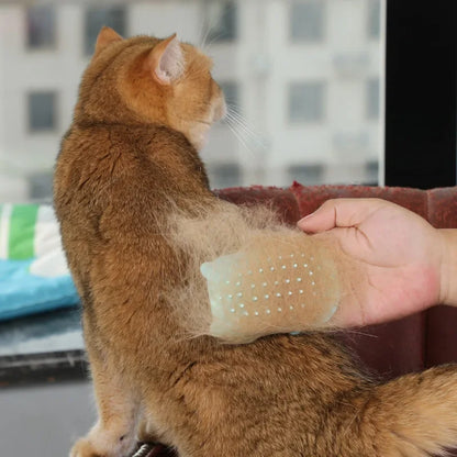 "¡Esto es mío!" - Cepillo de masaje para gatitos que se cuida solo