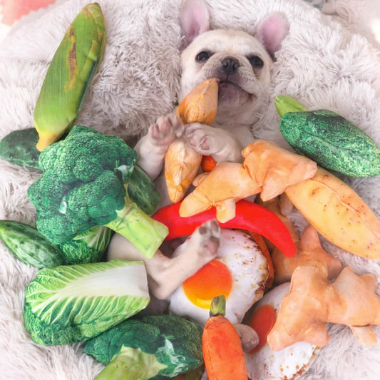 🍖🥦Get ready to laugh your tail off! - Absolutely comical doggy and kitty toys🍤🥬
