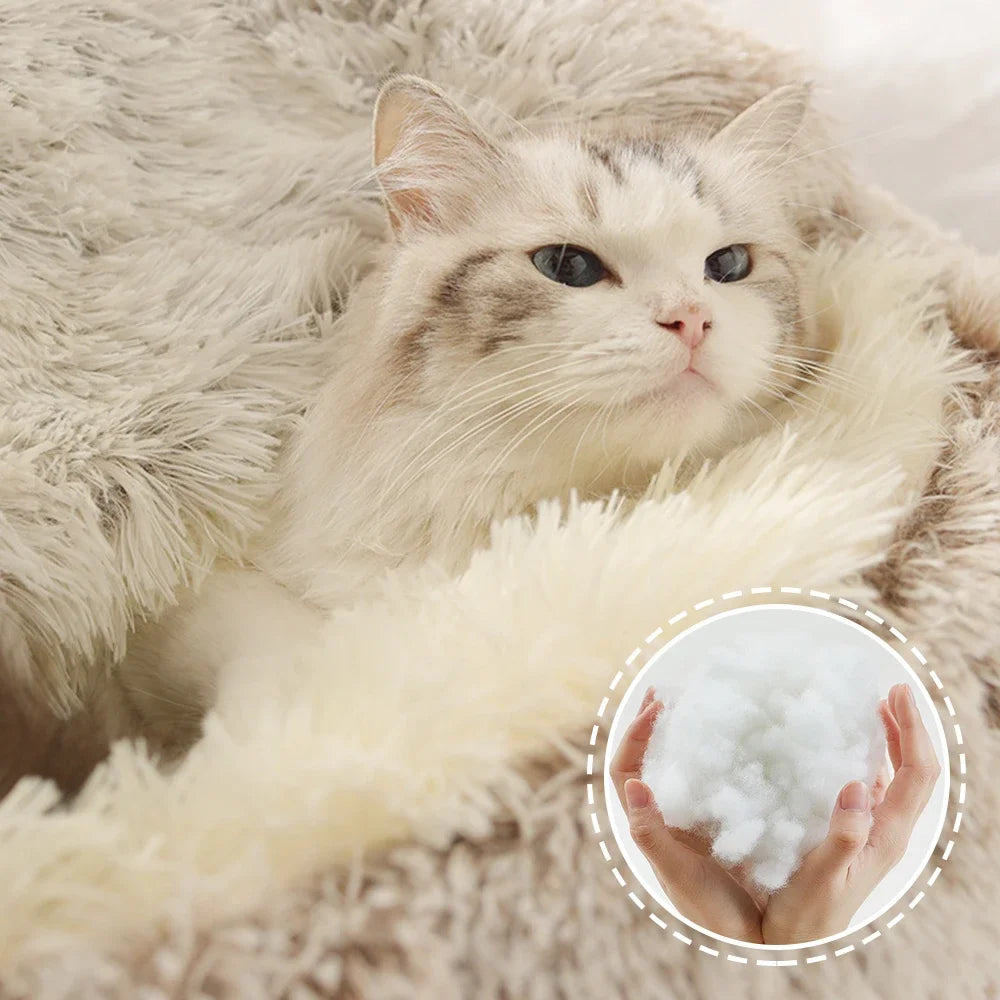 ⛅"Proud Cloud": ¿podría ser esta la cama para gatos más mullida de la historia?☁️