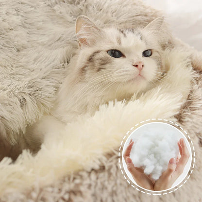 ⛅"Proud Cloud": ¿podría ser esta la cama para gatos más mullida de la historia?☁️