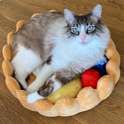 🥝🍓"Delicious Fruit Tart" - The funniest kitty and doggy bed😹