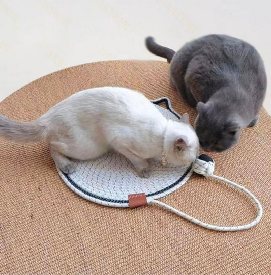 🥞"El panqueque de Kitty" - Siesta, rascadura y juego🥱