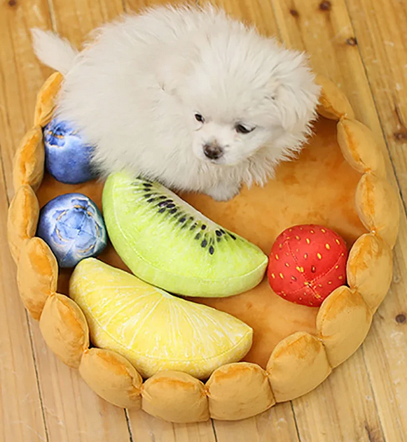 🥝🍓"Delicious Fruit Tart" - The funniest kitty and doggy bed😹