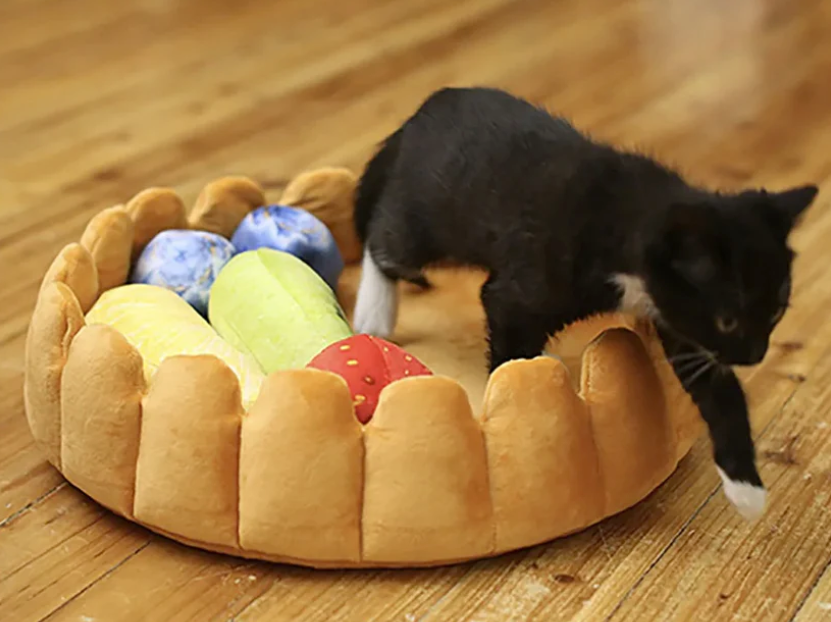 🥝🍓"Delicious Fruit Tart" - The funniest kitty and doggy bed😹