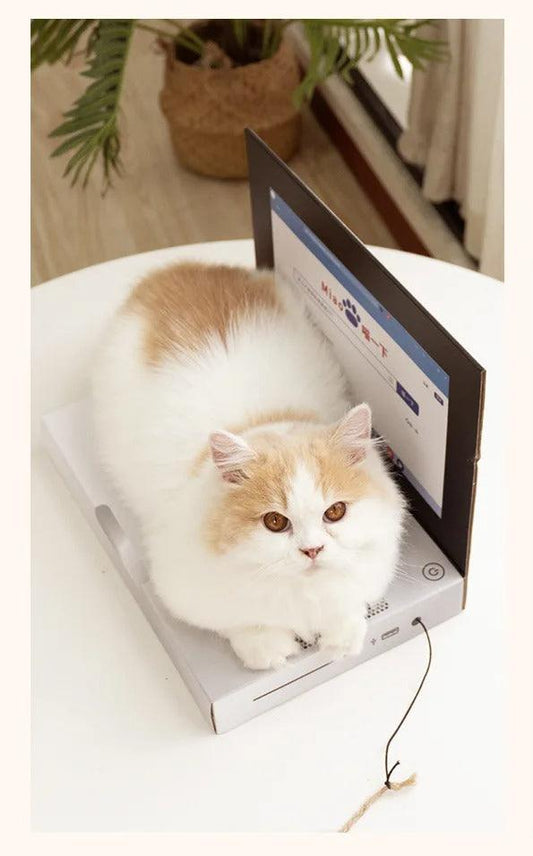 😺Introducing: The Hilarious "Scratch- and Naptop"😹💻