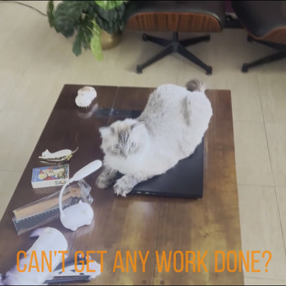 😺Introducing: The Hilarious "Scratch- and Naptop"😹💻