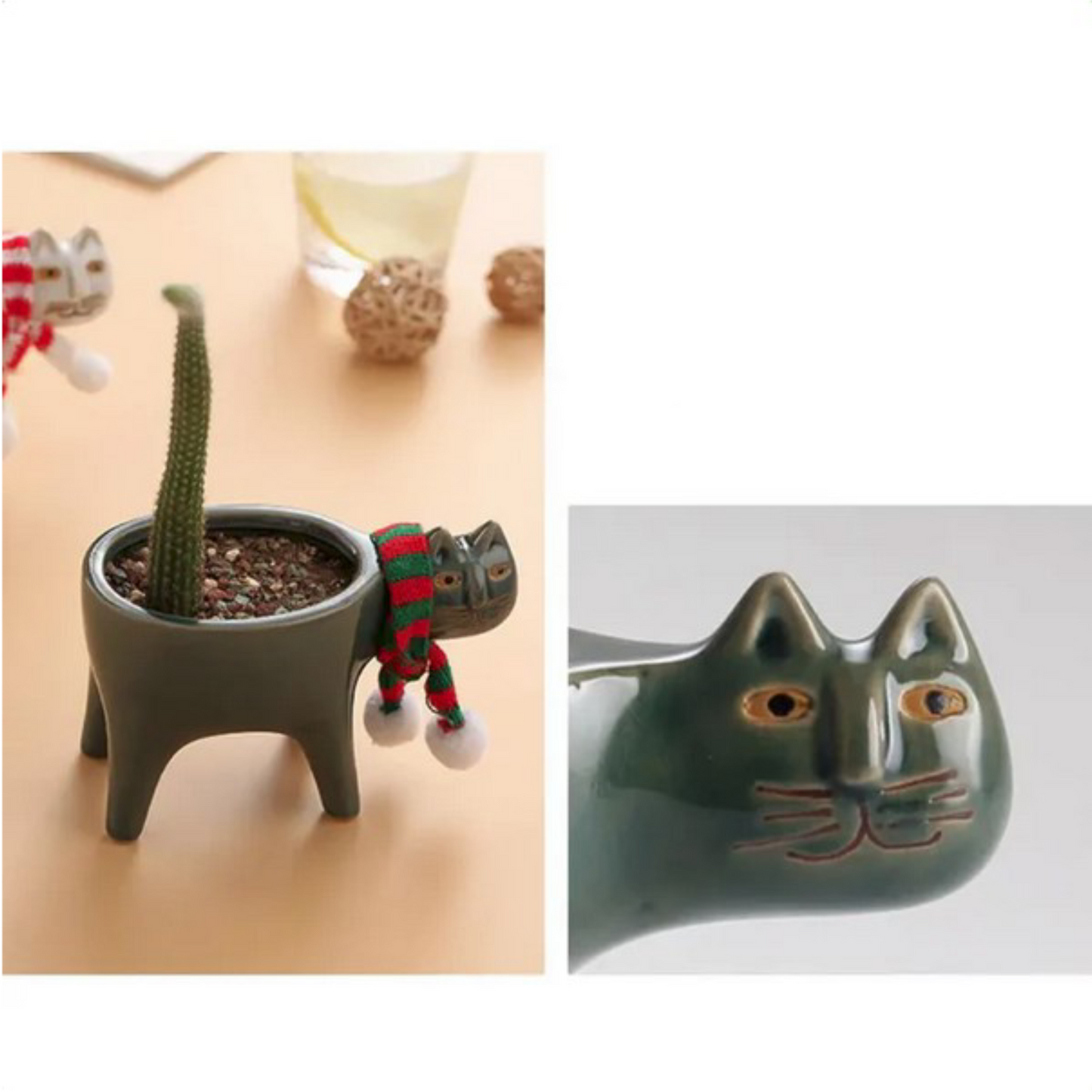 😹 Maceta "Witty Kitty" - ¡Divertidísima!🌵🌵