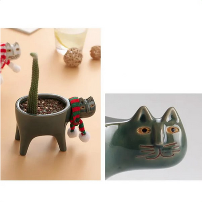 😹 Maceta "Witty Kitty" - ¡Divertidísima!🌵🌵